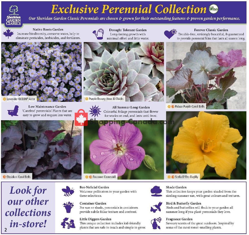 Sheridan Nurseries flyer from Thursday July 2, 2020 to Wednesday July 29, 2020 - page 2