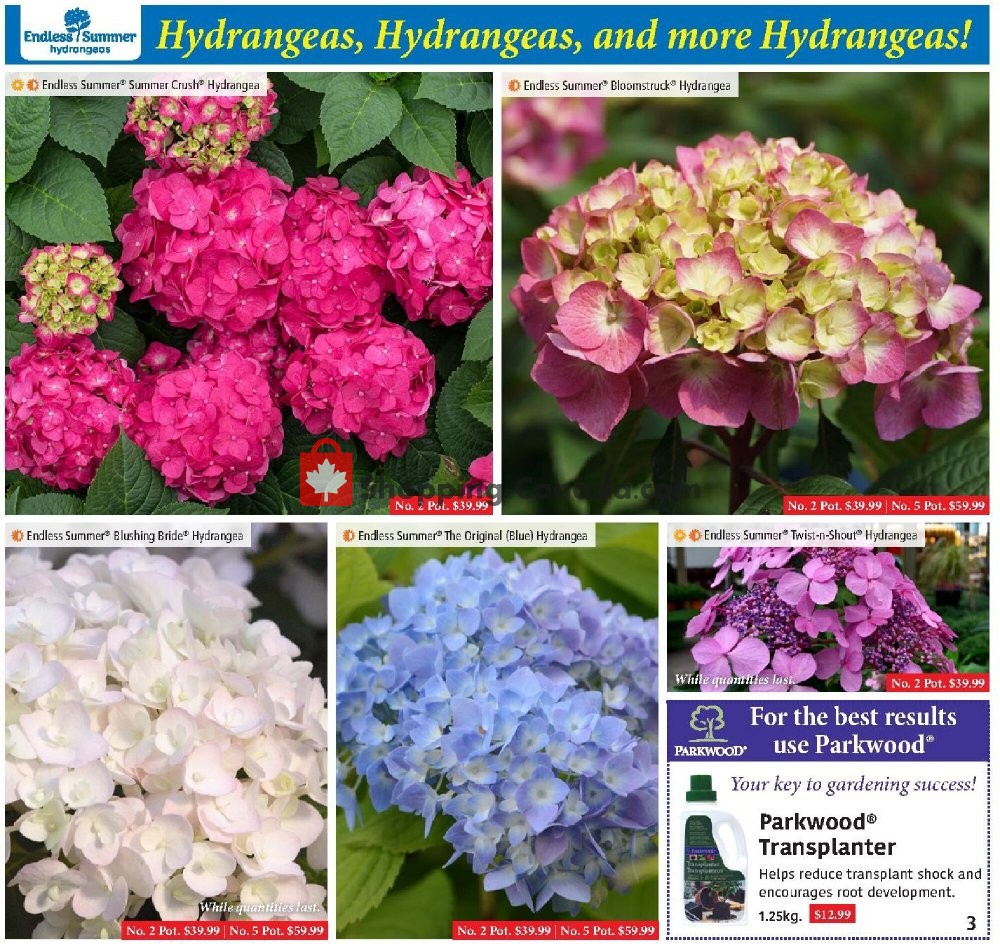 Sheridan Nurseries flyer from Thursday July 2, 2020 to Wednesday July 29, 2020 - page 3
