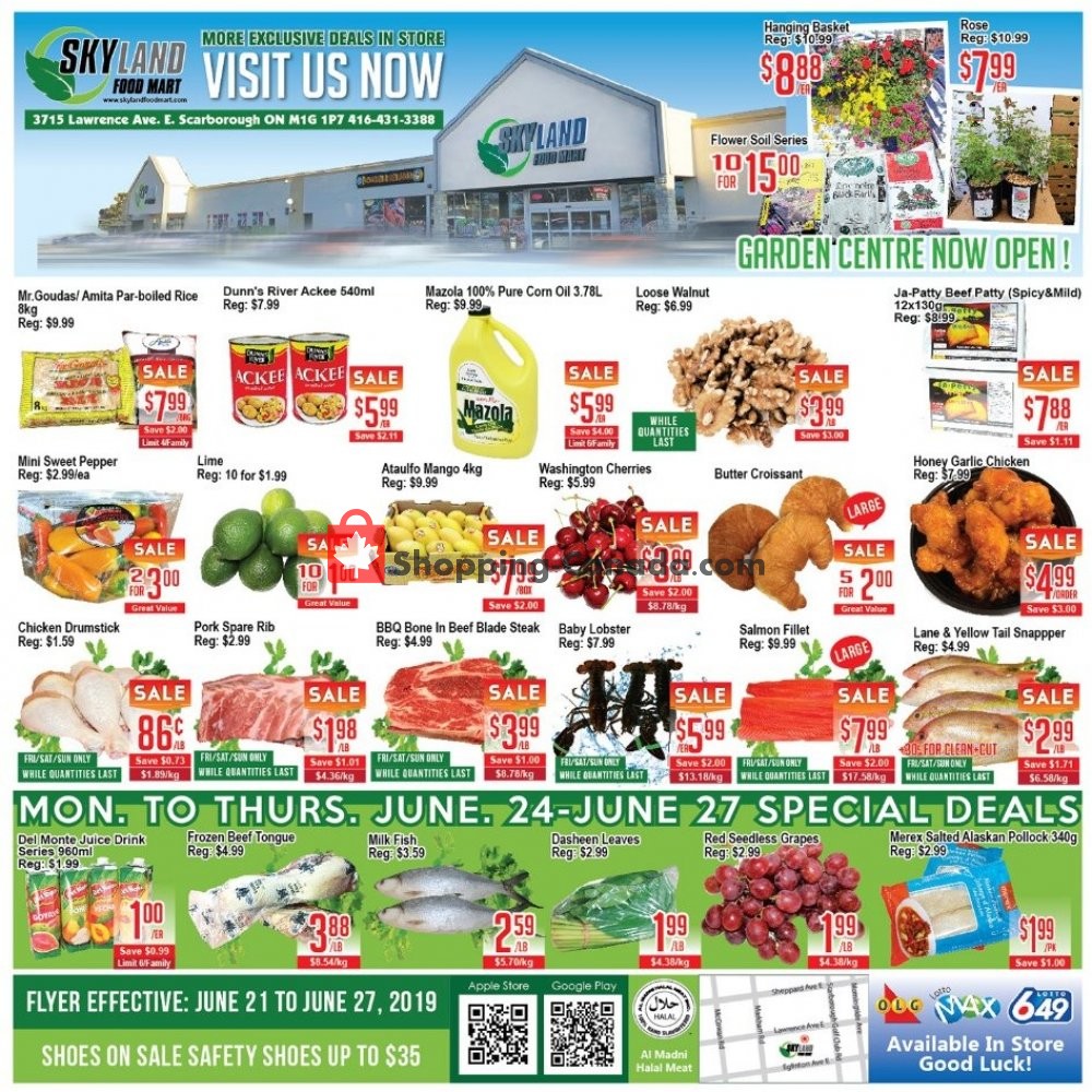 Skyland Food Mart flyer from Friday June 21, 2019 to Thursday June 27, 2019 - page 1
