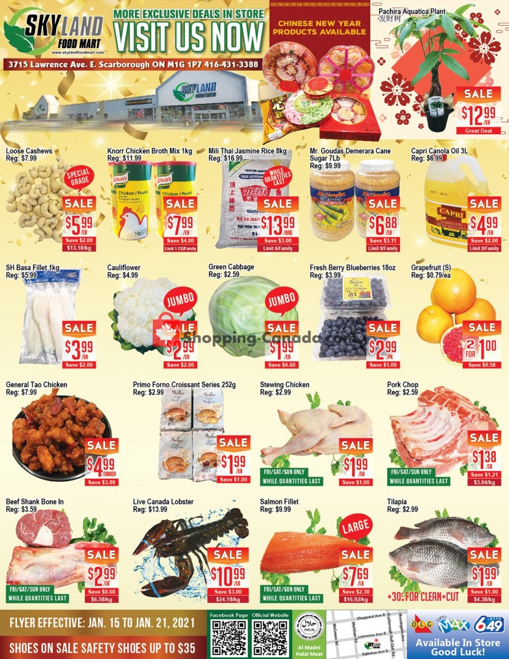Skyland Food Mart flyer from Friday January 15, 2021 to Thursday January 21, 2021 - page 1