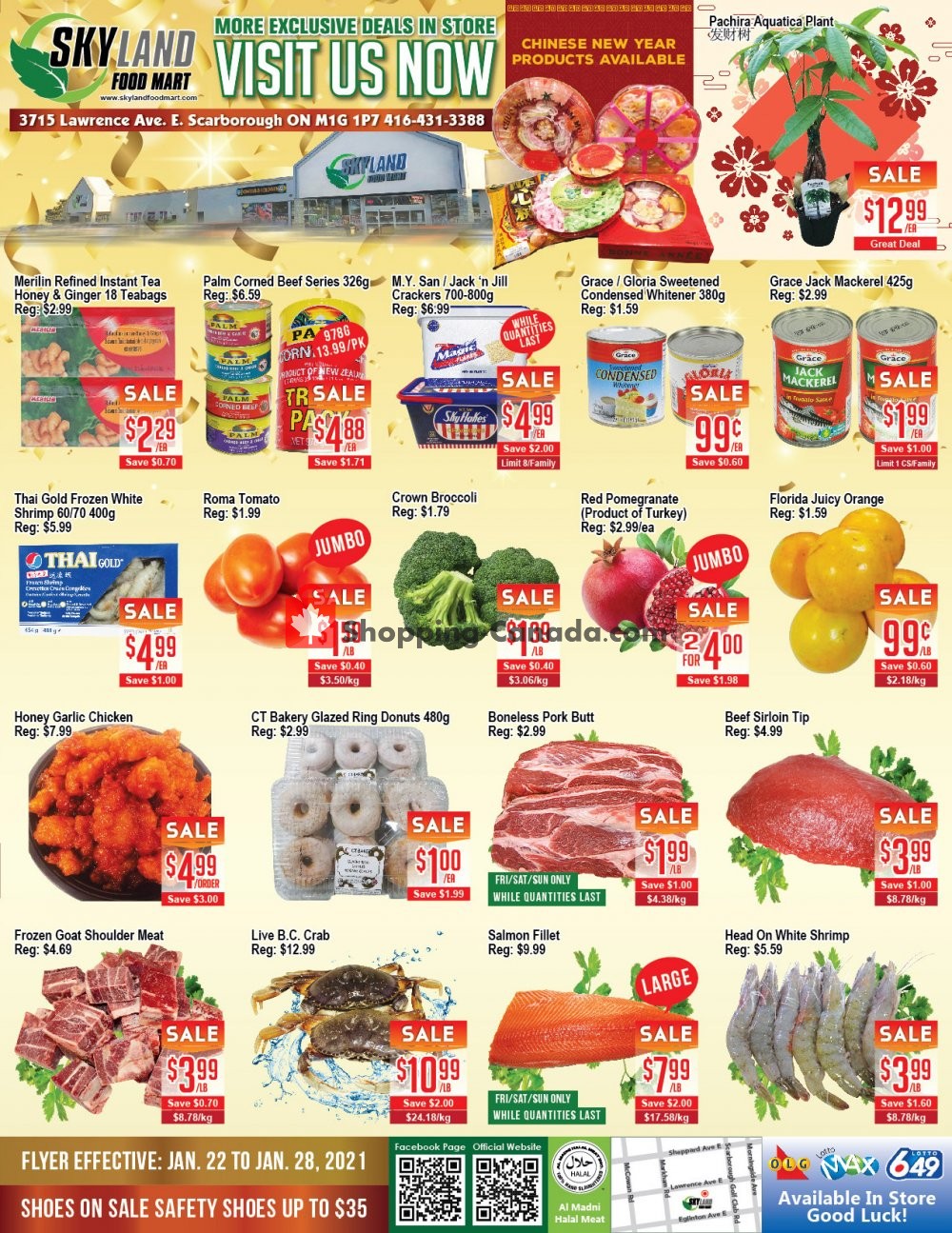 Skyland Food Mart flyer from Friday January 22, 2021 to Thursday January 28, 2021 - page 1