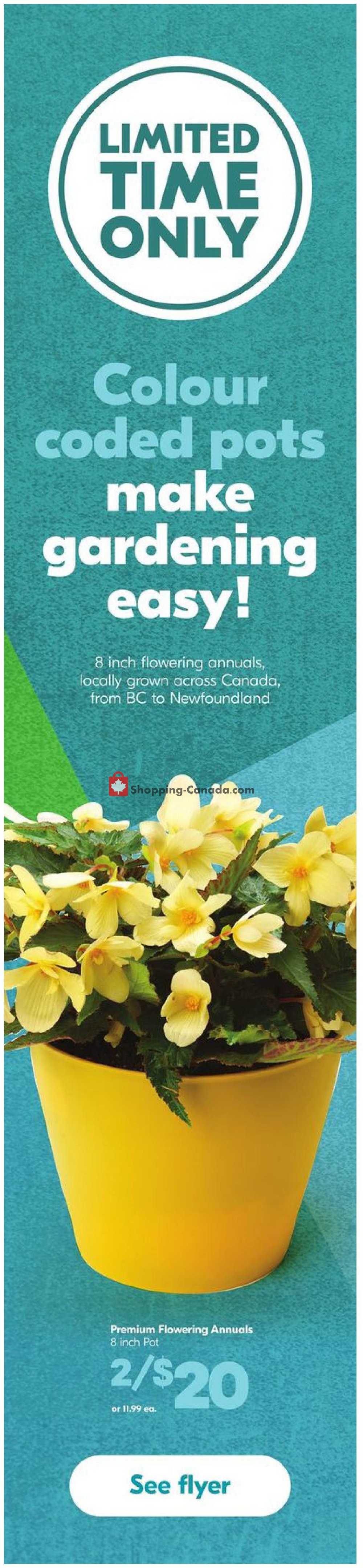 Sobeys flyer from Thursday May 28, 2020 to Wednesday June 3, 2020 - page 11