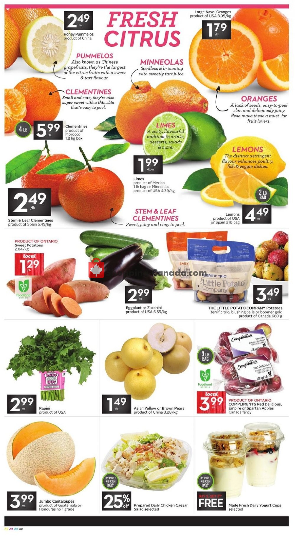 Sobeys flyer from Thursday January 24, 2019 to Wednesday January 30, 2019 - page 2