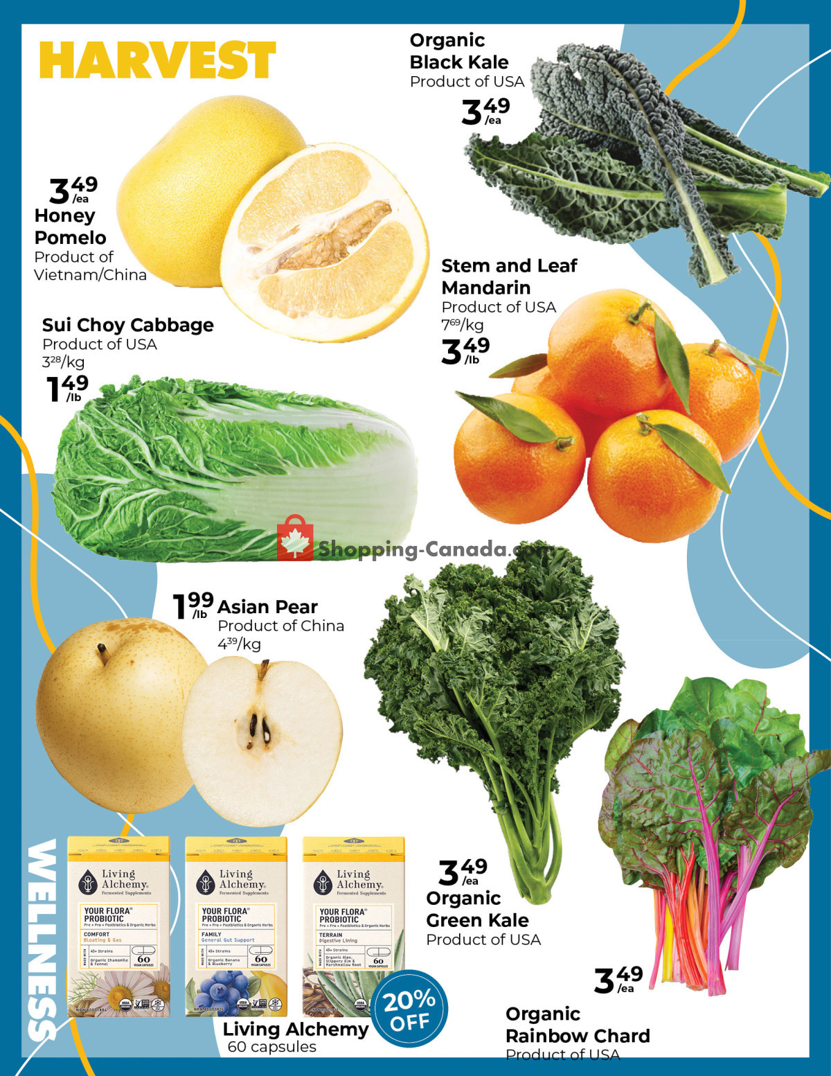 Stong's Market flyer from Friday January 26, 2024 to Thursday February 8, 2024 - page 2