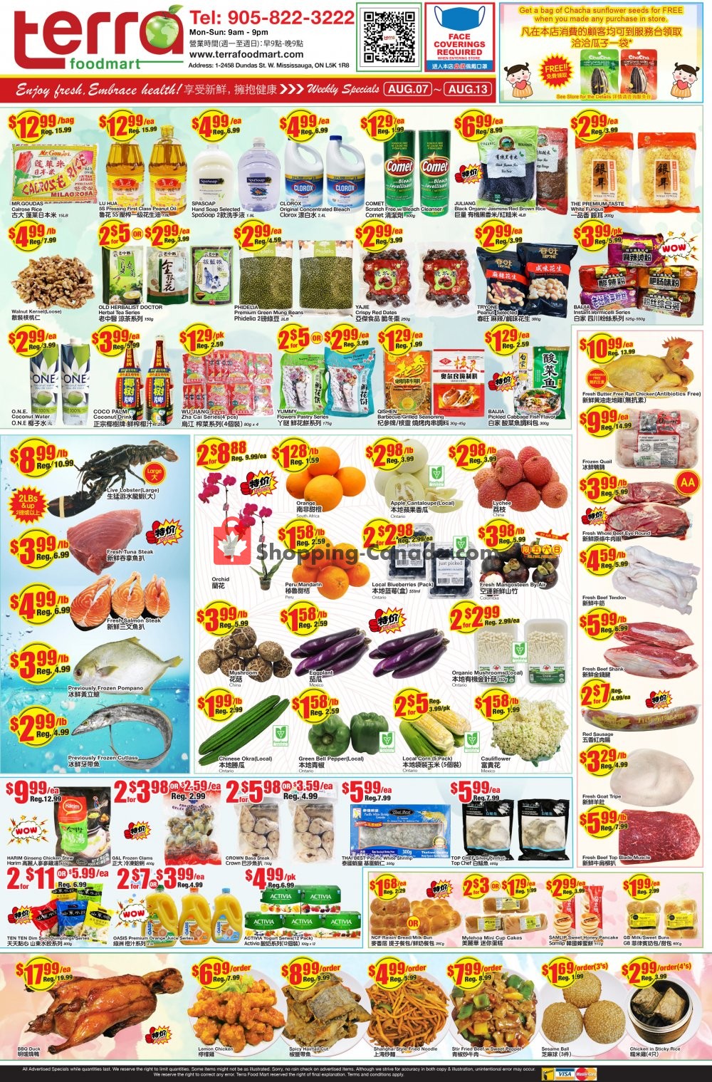 Terra Foodmart flyer from Friday August 7, 2020 to Thursday August 13, 2020 - page 1