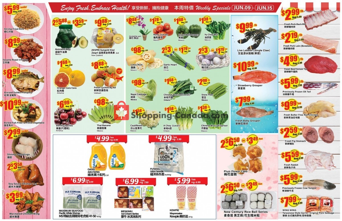 Terra Foodmart flyer from Friday June 9, 2023 to Thursday June 15, 2023 - page 2