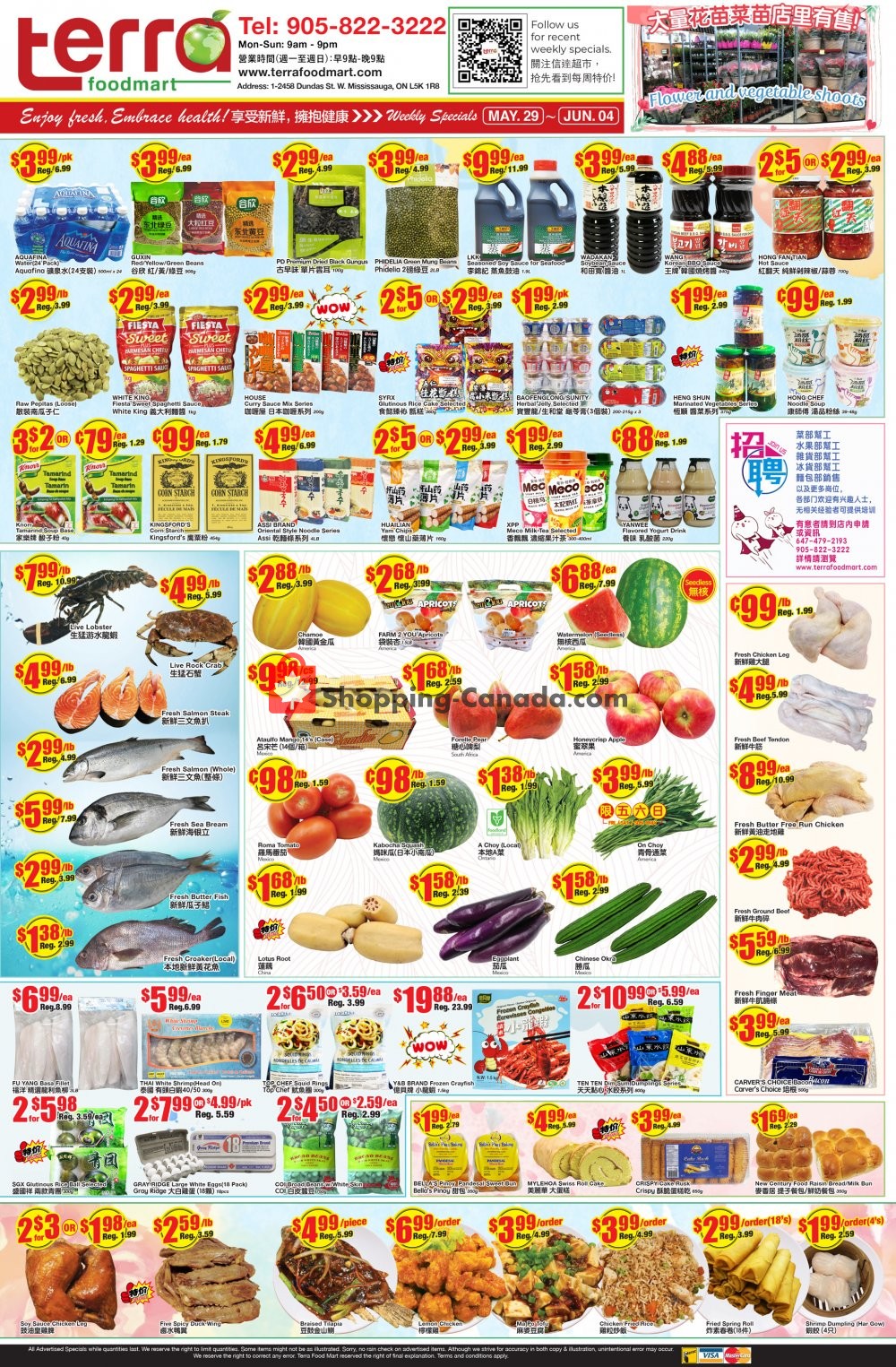 Terra Foodmart flyer from Friday May 29, 2020 to Thursday June 4, 2020 - page 1