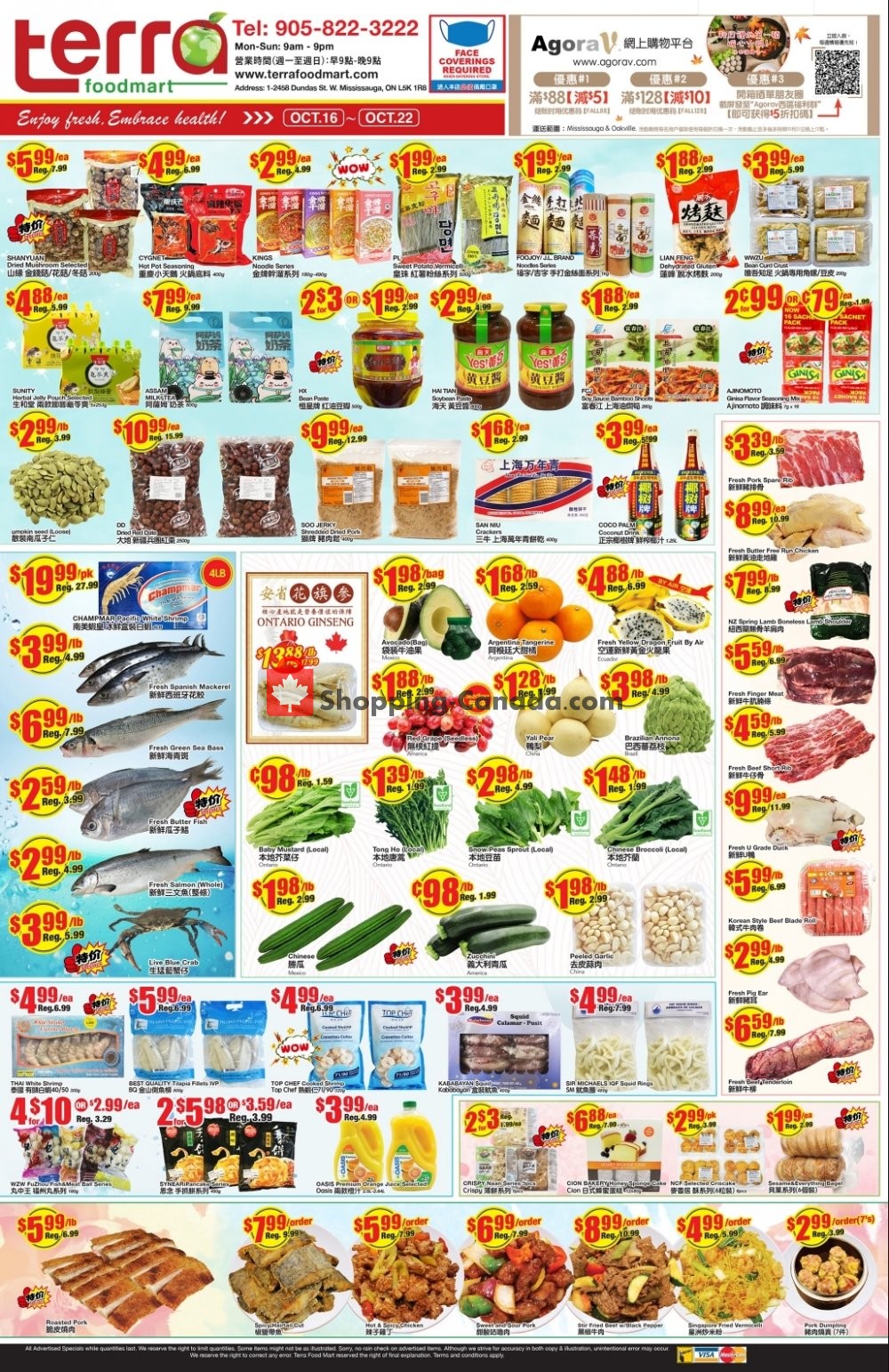 Terra Foodmart flyer from Friday October 16, 2020 to Thursday October 22, 2020 - page 1