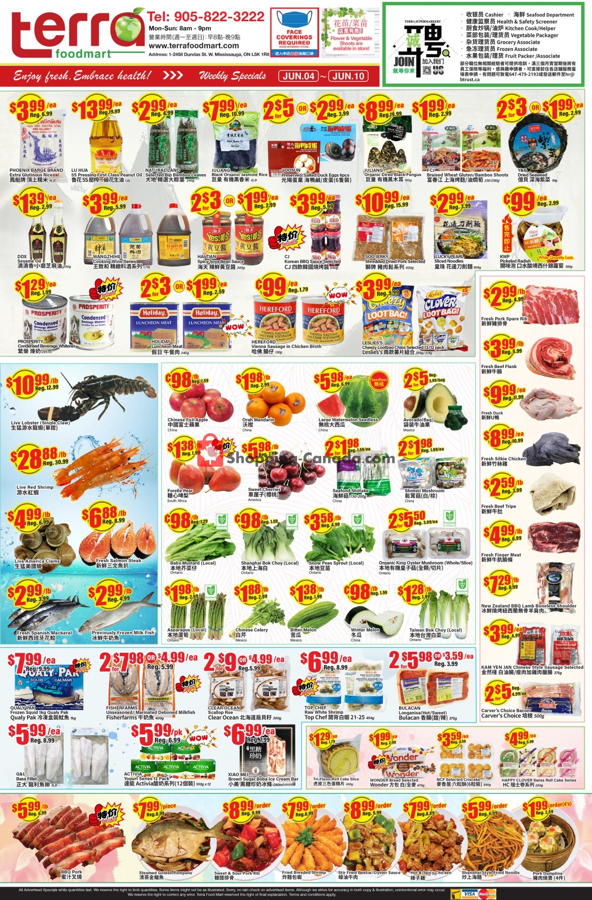 Terra Foodmart flyer from Friday June 4, 2021 to Thursday June 10, 2021 - page 1