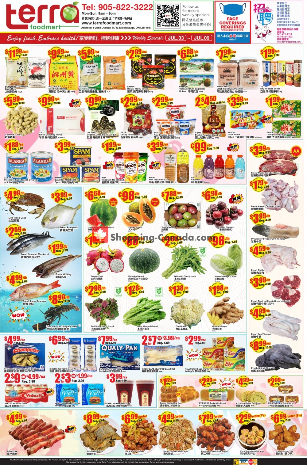 Terra Foodmart flyer from Friday July 3, 2020 to Thursday July 9, 2020 - page 1