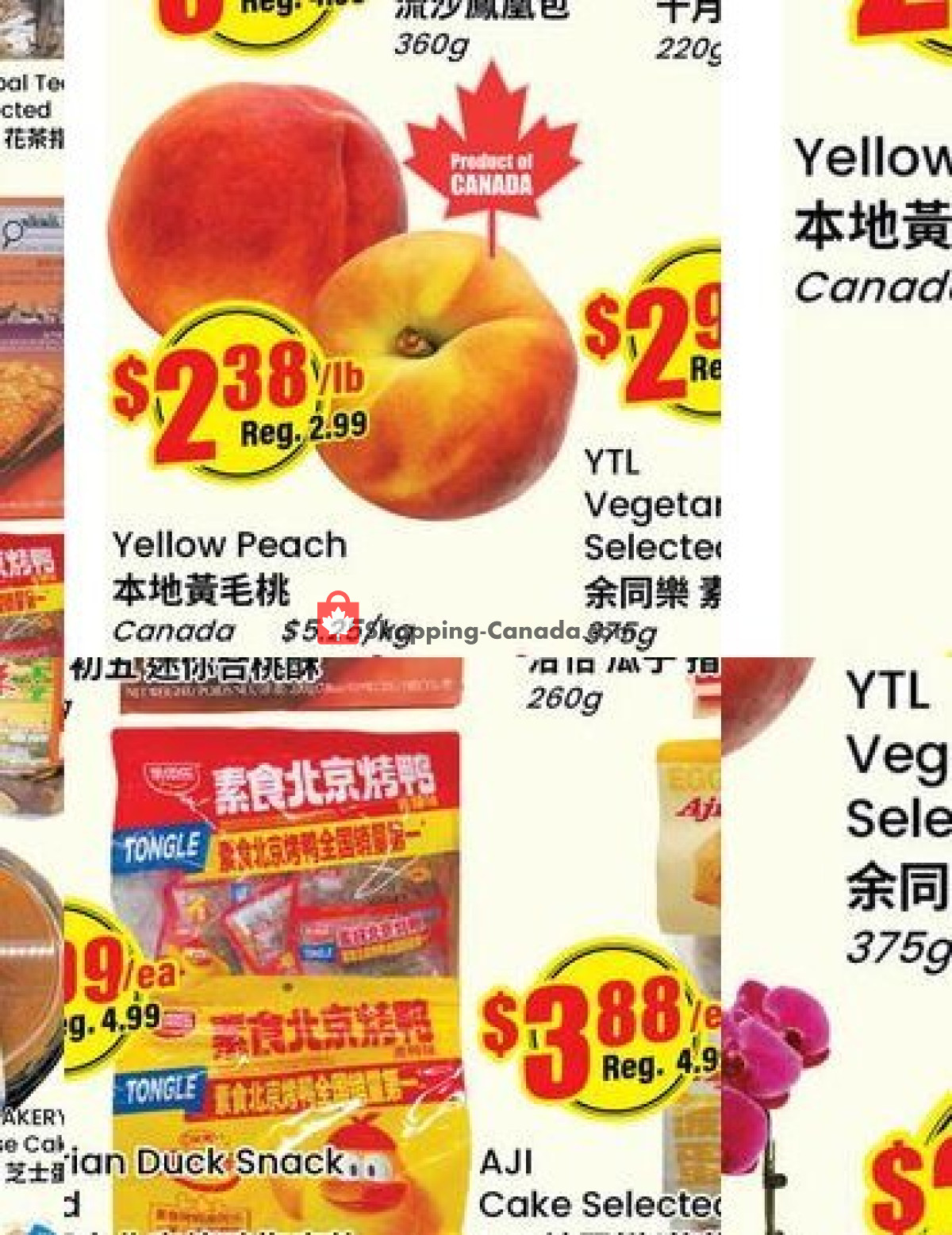 Terra Foodmart flyer from Friday July 31, 2026 to Thursday August 6, 2026 - page 3