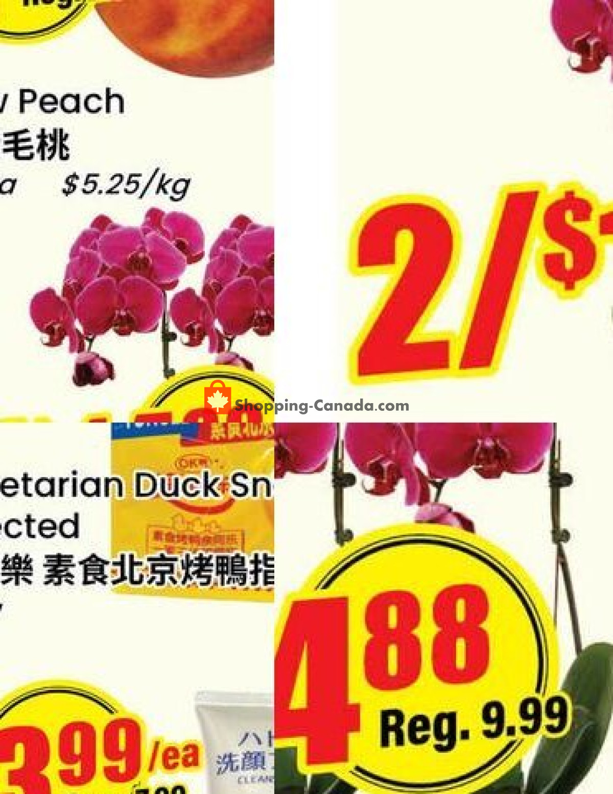 Terra Foodmart flyer from Friday July 31, 2026 to Thursday August 6, 2026 - page 4