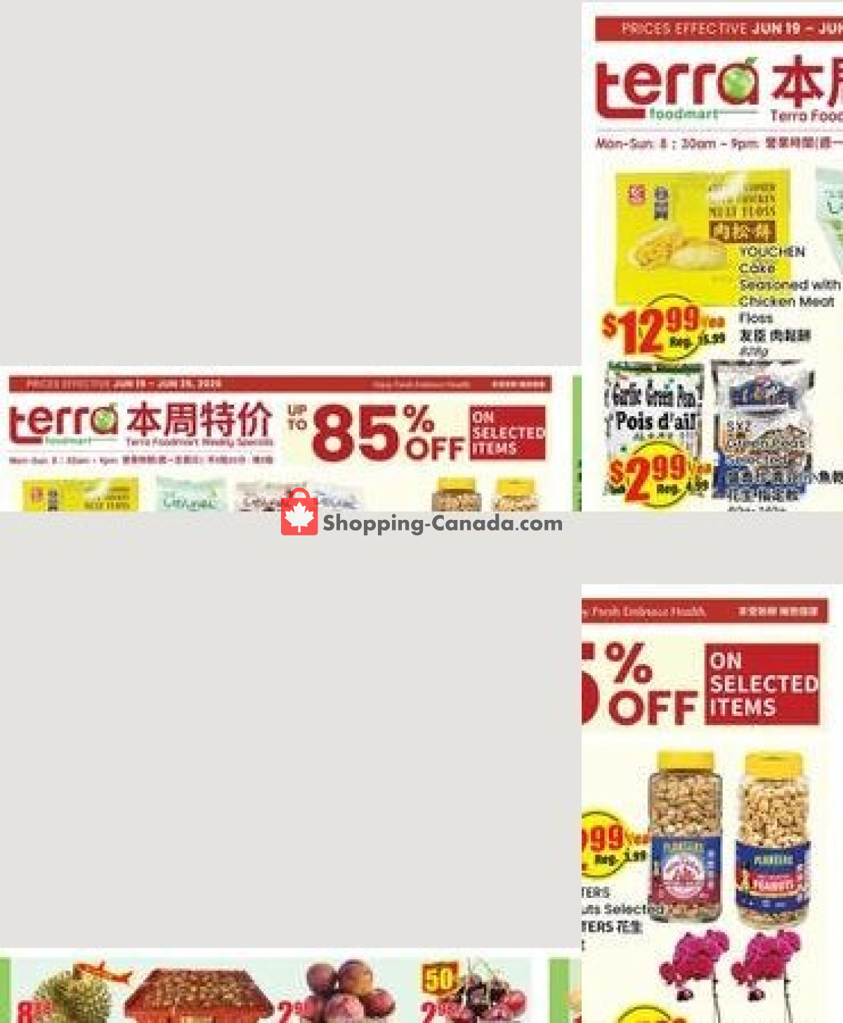Terra Foodmart flyer from Friday June 19, 2026 to Thursday June 25, 2026 - page 1