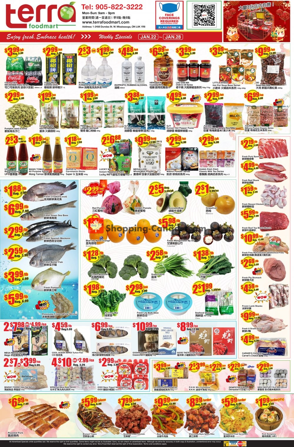 Terra Foodmart flyer from Friday January 22, 2021 to Thursday January 28, 2021 - page 1