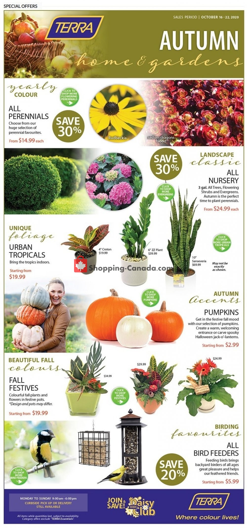 Terra Green Houses flyer from Friday October 16, 2020 to Thursday October 22, 2020 - page 1