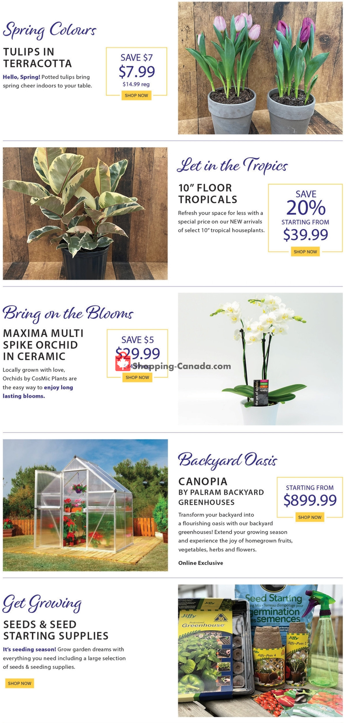 Terra Green Houses flyer from Friday February 23, 2024 to Thursday February 29, 2024 - page 2