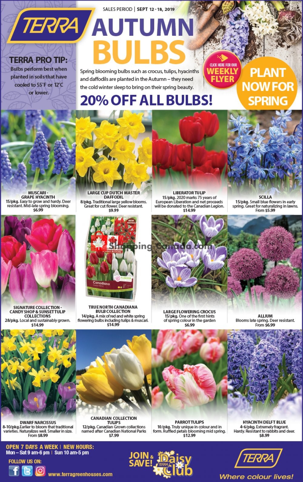Terra Green Houses flyer from Thursday September 12, 2019 to Wednesday September 18, 2019 - page 3