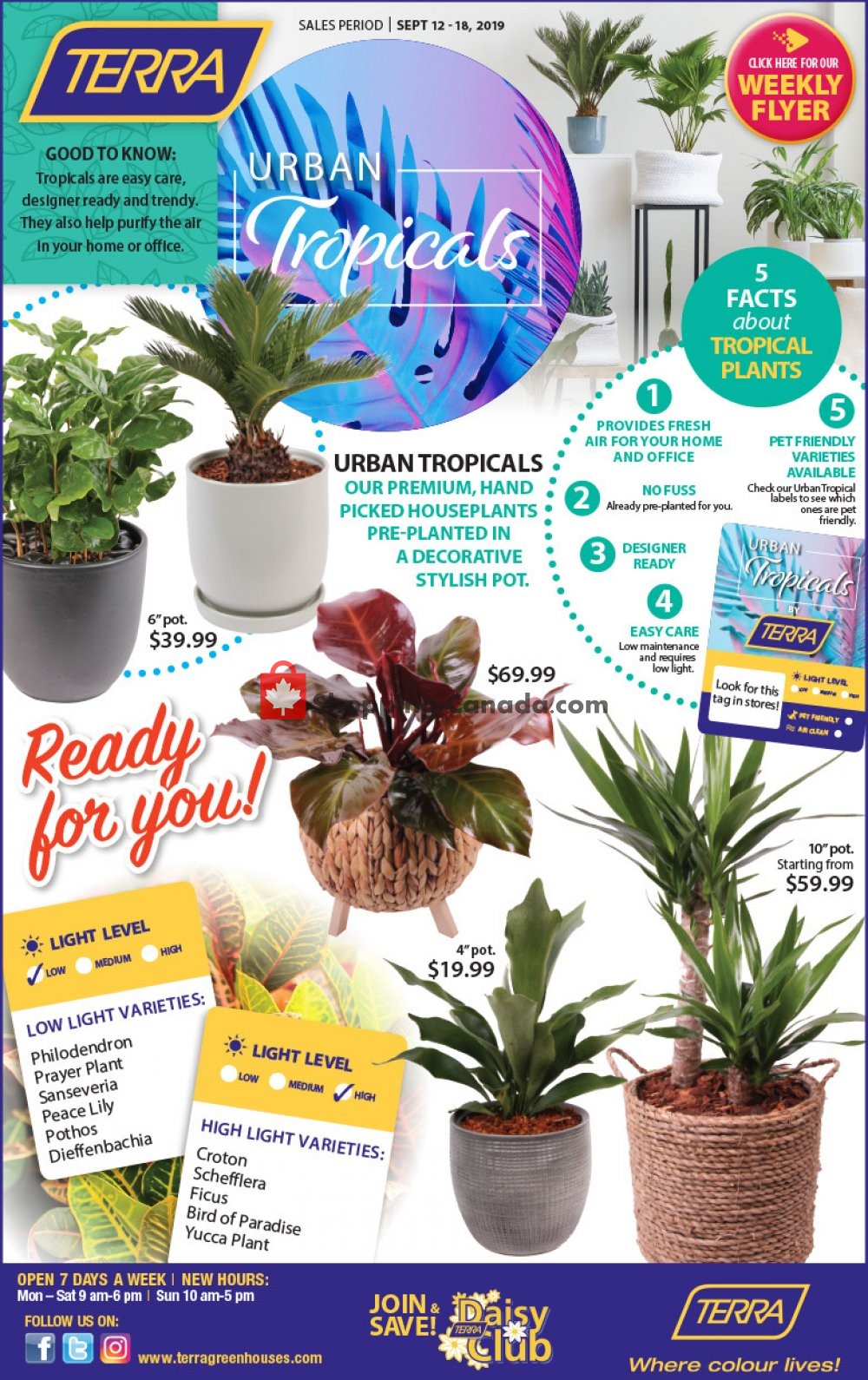 Terra Green Houses flyer from Thursday September 12, 2019 to Wednesday September 18, 2019 - page 4