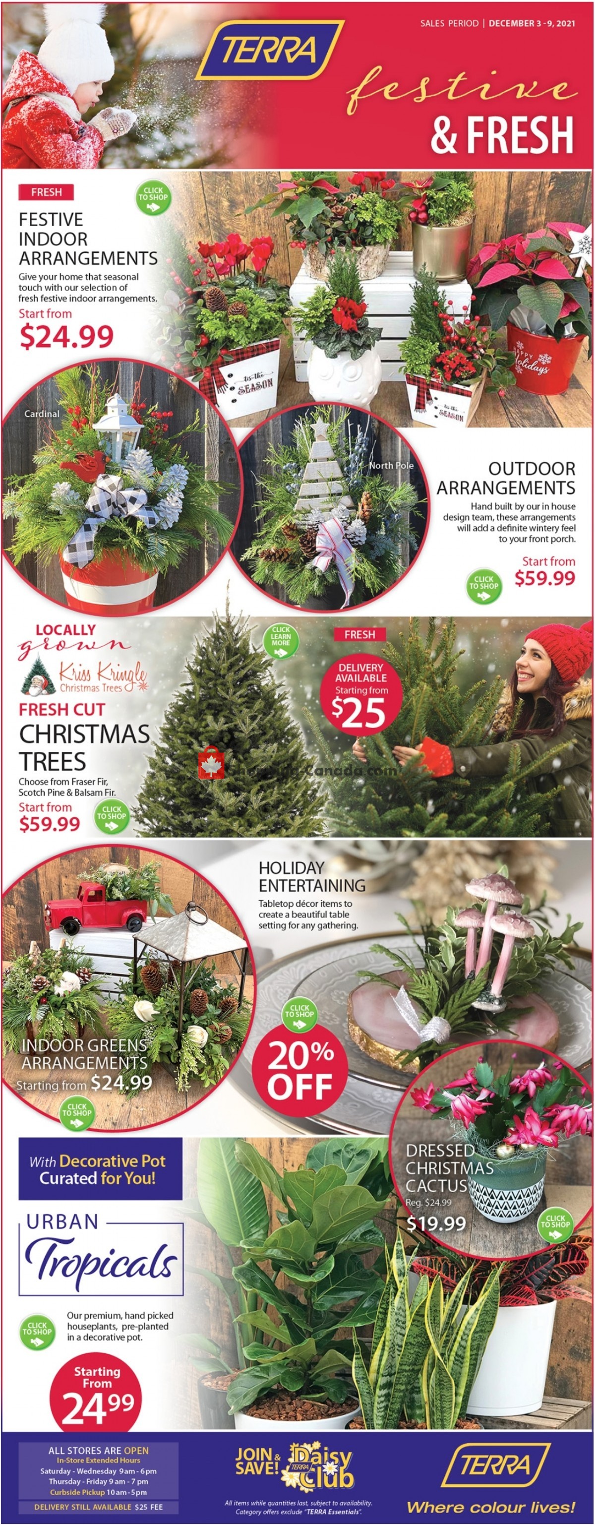 Terra Green Houses flyer from Friday December 3, 2021 to Thursday December 9, 2021 - page 1