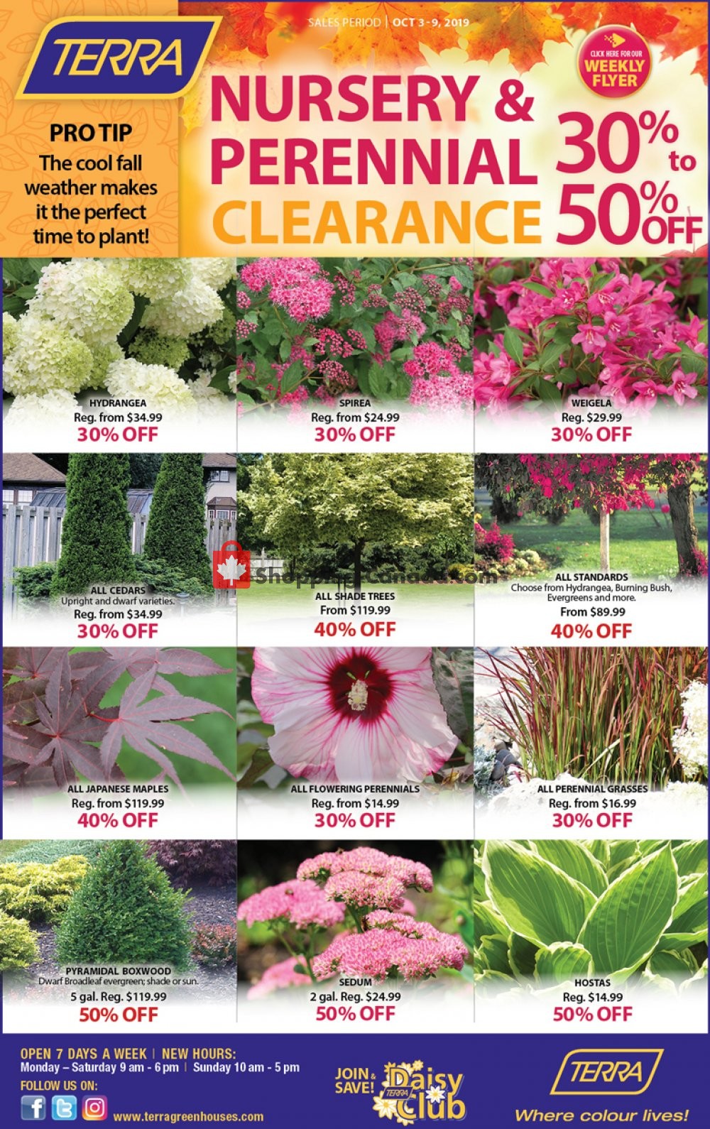 Terra Green Houses flyer from Thursday October 3, 2019 to Wednesday October 9, 2019 - page 3
