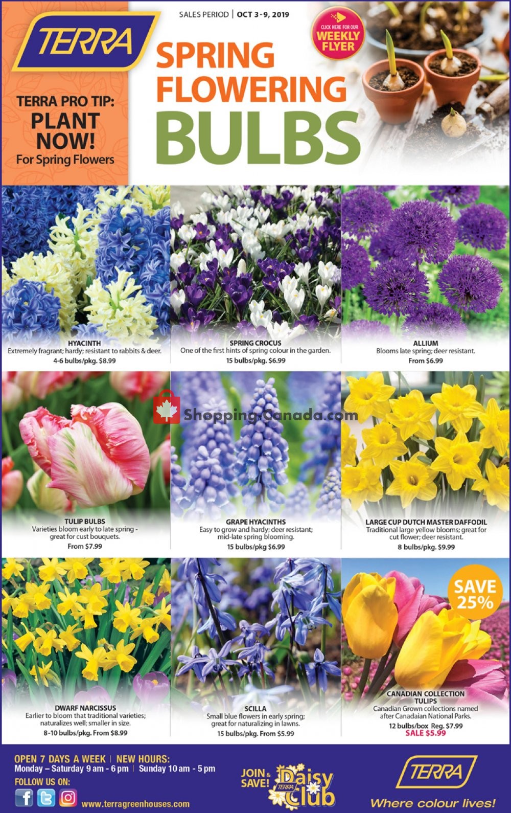 Terra Green Houses flyer from Thursday October 3, 2019 to Wednesday October 9, 2019 - page 4