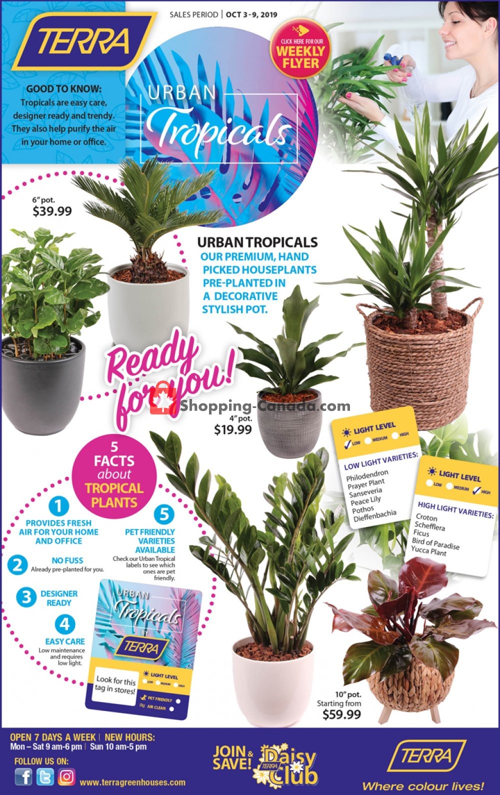 Terra Green Houses flyer from Thursday October 3, 2019 to Wednesday October 9, 2019 - page 5