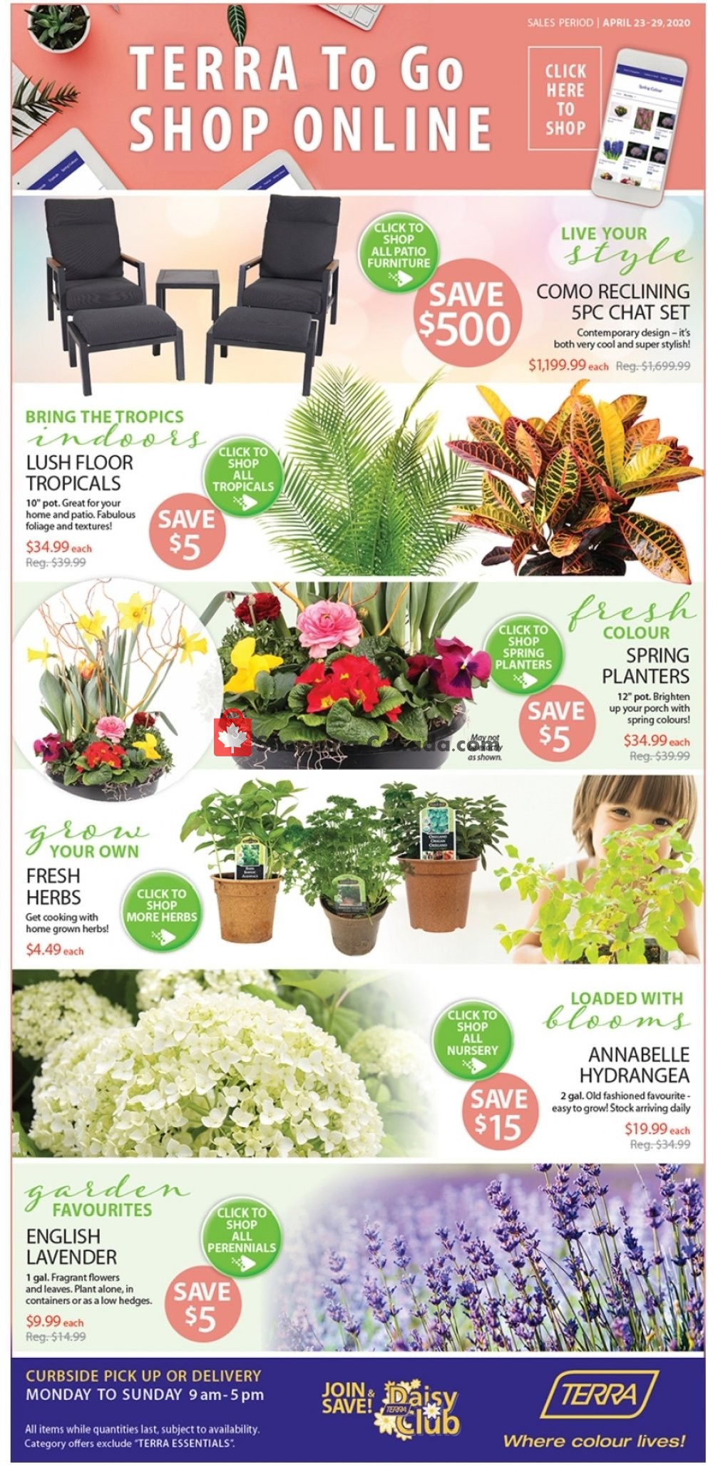 Terra Green Houses flyer from Thursday April 23, 2020 to Wednesday April 29, 2020 - page 1