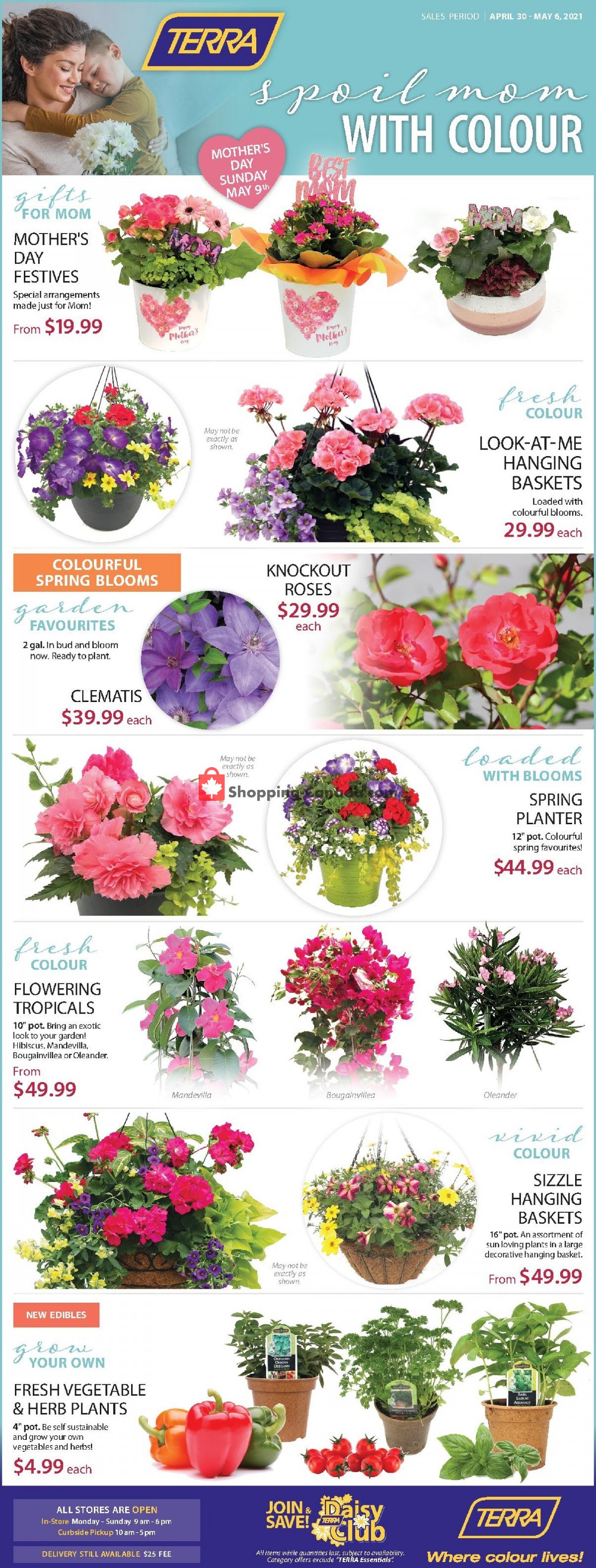 Terra Green Houses flyer from Friday April 30, 2021 to Thursday May 6, 2021 - page 1