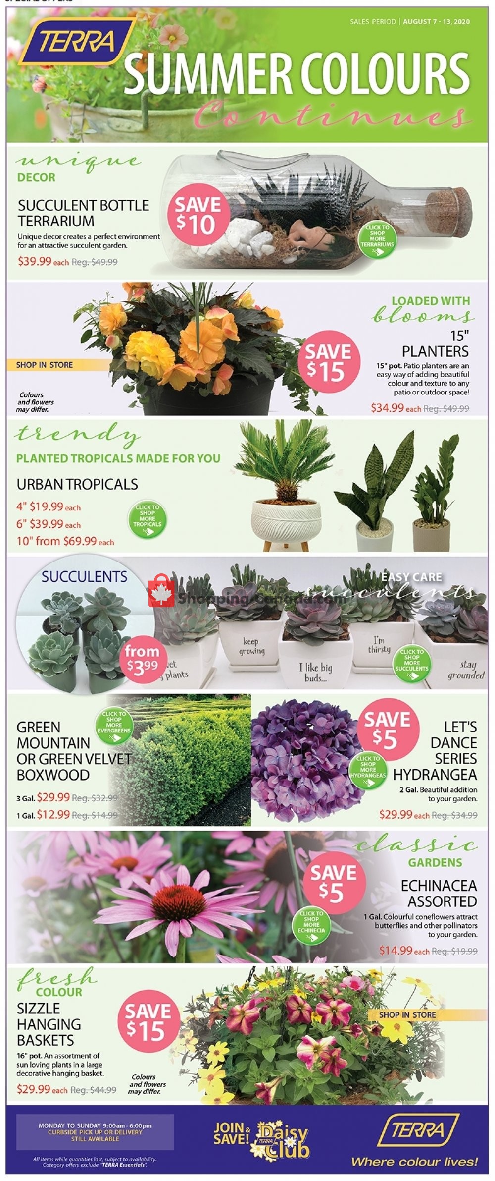 Terra Green Houses flyer from Friday August 7, 2020 to Thursday August 13, 2020 - page 1