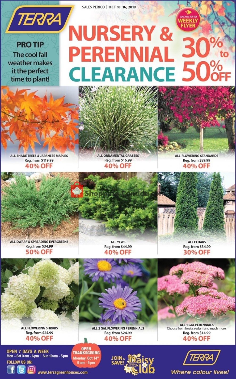 Terra Green Houses flyer from Thursday October 10, 2019 to Wednesday October 16, 2019 - page 3