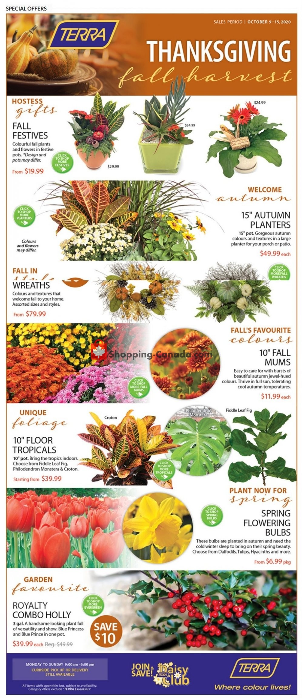 Terra Green Houses flyer from Friday October 9, 2020 to Thursday October 15, 2020 - page 1