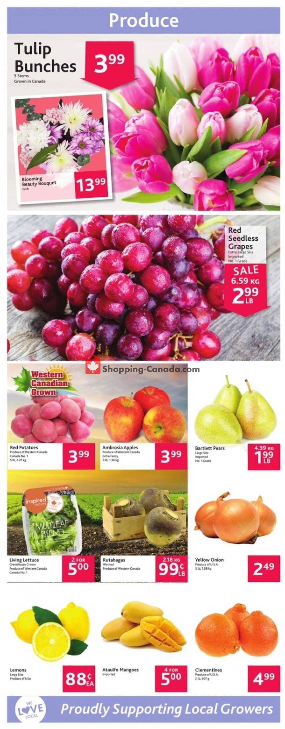TGP flyer from Thursday April 18, 2019 to Wednesday April 24, 2019 - page 6