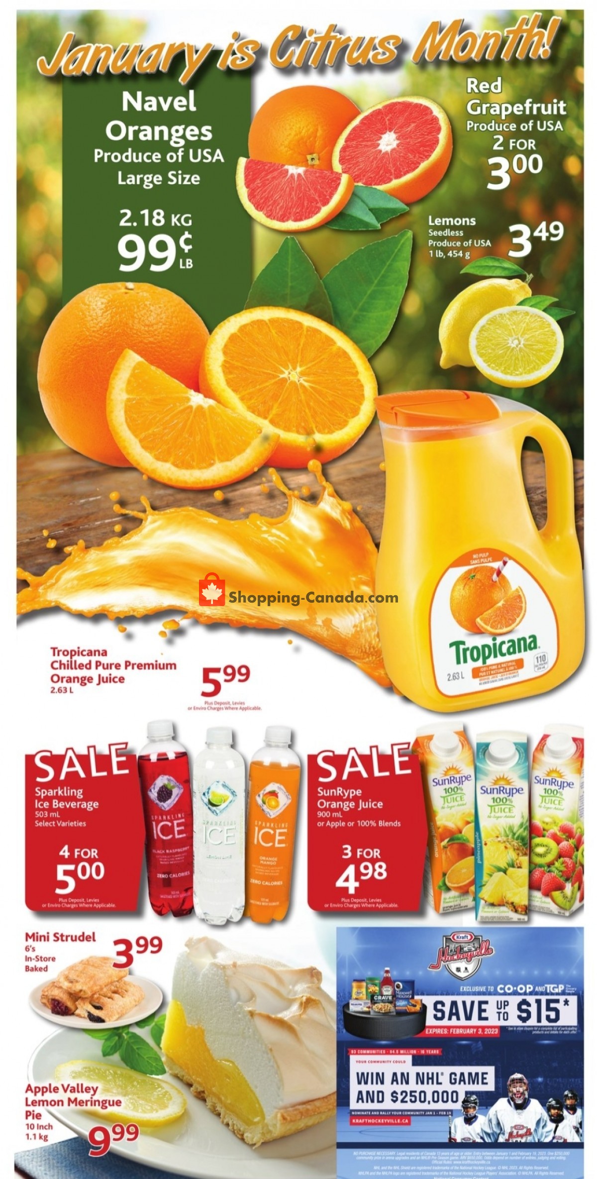 TGP flyer from Thursday January 19, 2023 to Wednesday January 25, 2023 - page 8