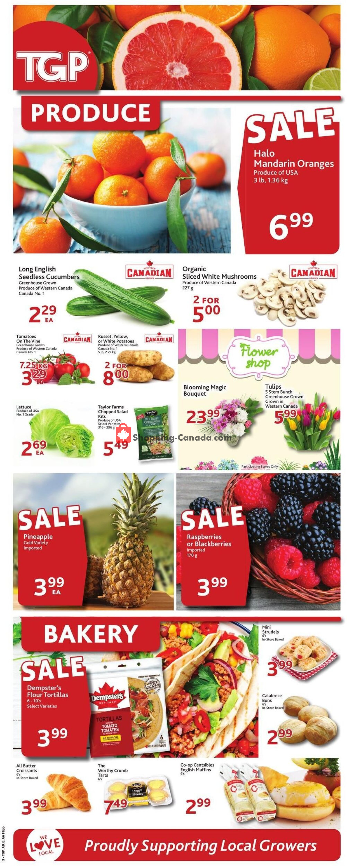 TGP flyer from Thursday February 15, 2024 to Wednesday February 21, 2024 - page 4