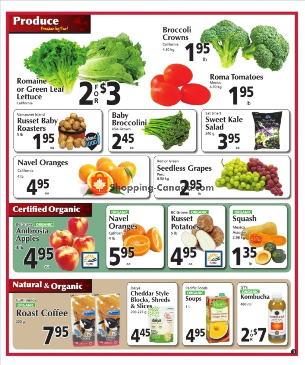 The 49th Parallel Grocery flyer from Thursday January 14, 2021 to Wednesday January 20, 2021 - page 3