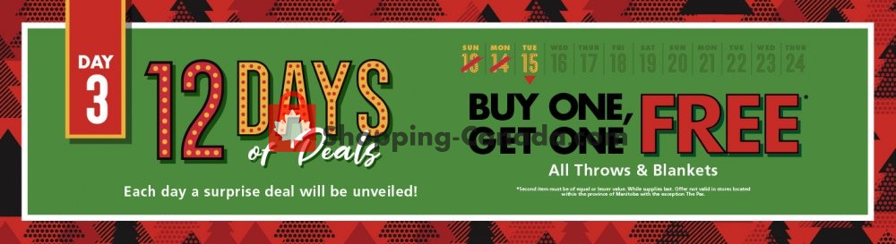 The Bargain! Shop flyer from Tuesday December 15, 2020 to Tuesday December 15, 2020 - page 1