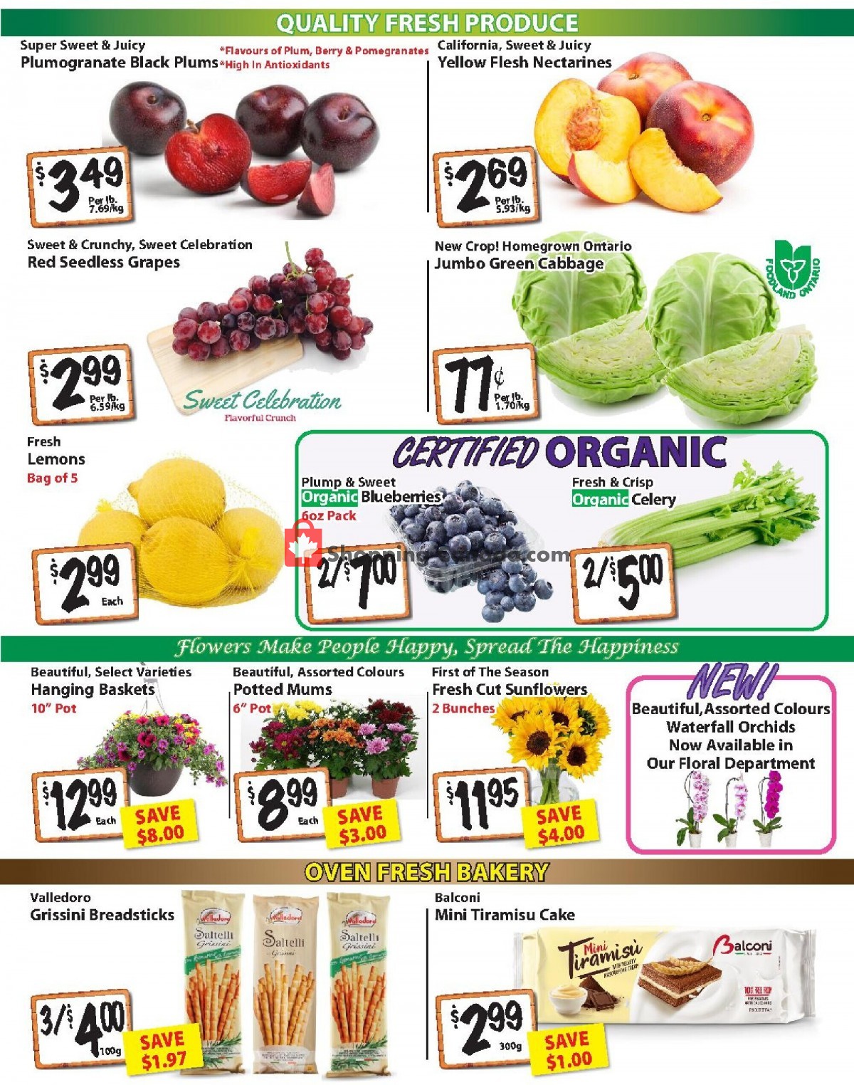 The Garden Basket flyer from Thursday July 15, 2021 to Wednesday July 21, 2021 - page 2