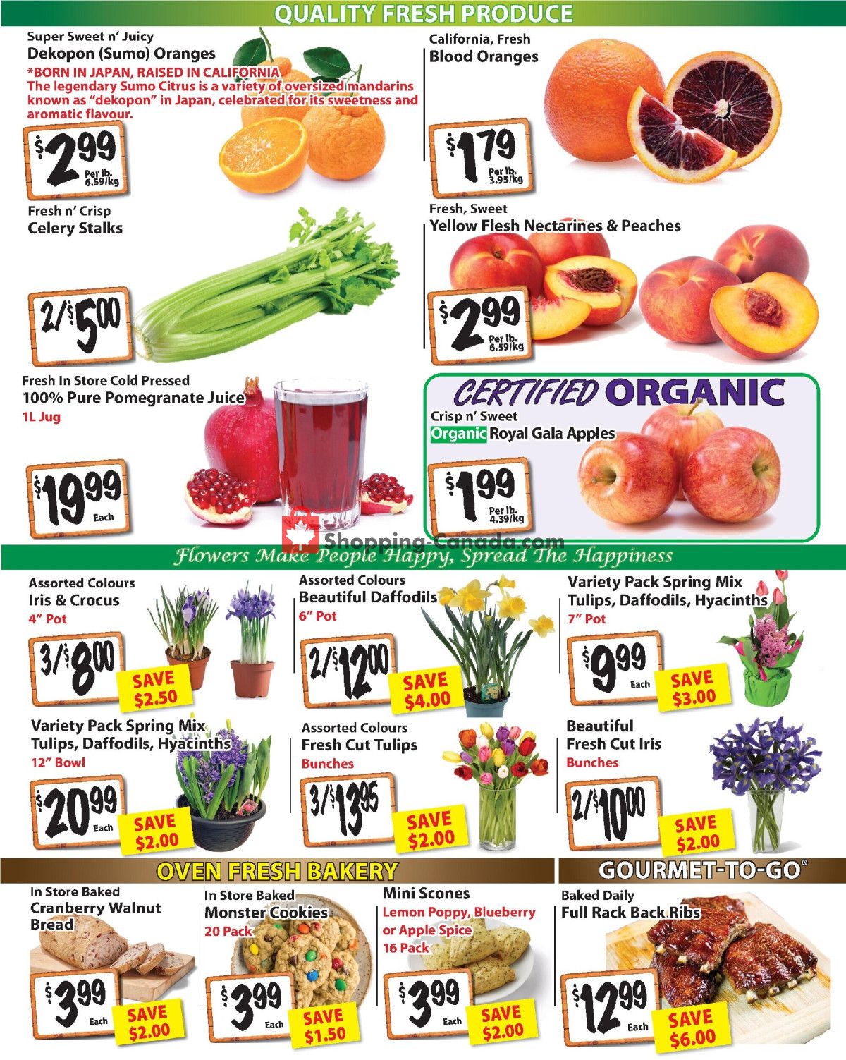 The Garden Basket flyer from Thursday February 15, 2024 to Wednesday February 21, 2024 - page 2