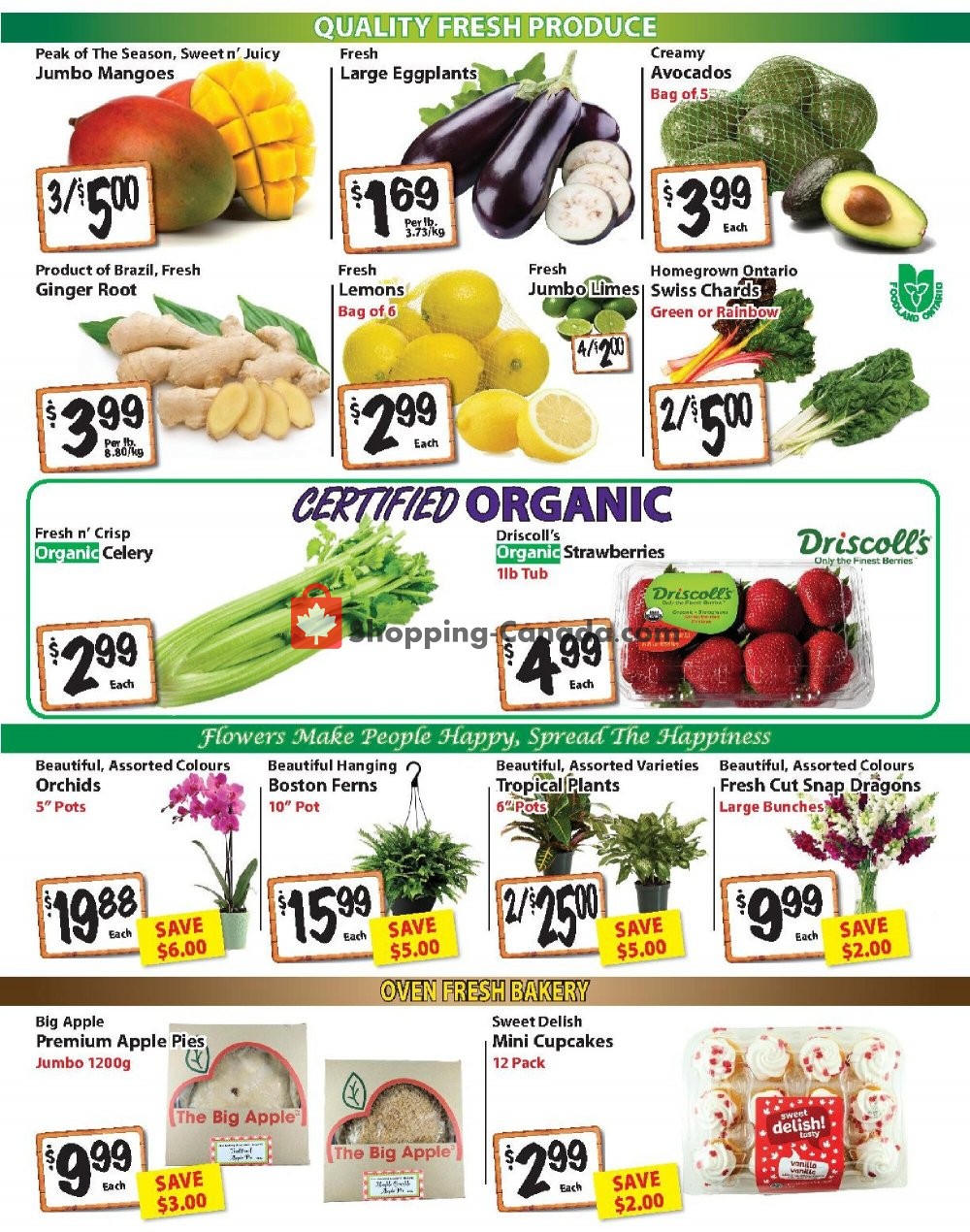 The Garden Basket flyer from Thursday July 2, 2020 to Wednesday July 8, 2020 - page 2