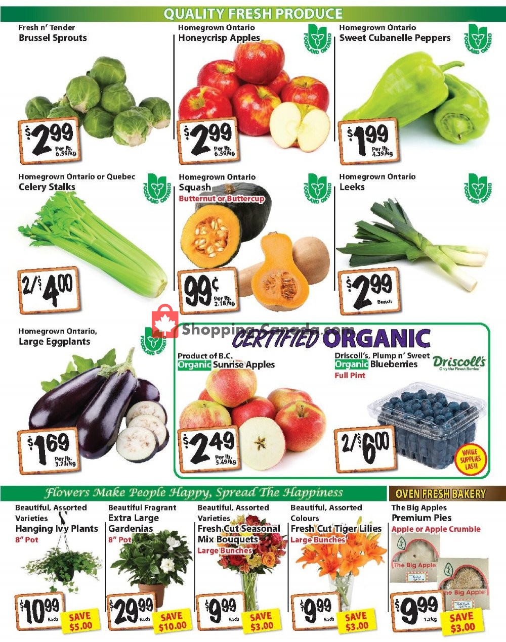 The Garden Basket flyer from Thursday September 17, 2020 to Wednesday September 23, 2020 - page 2