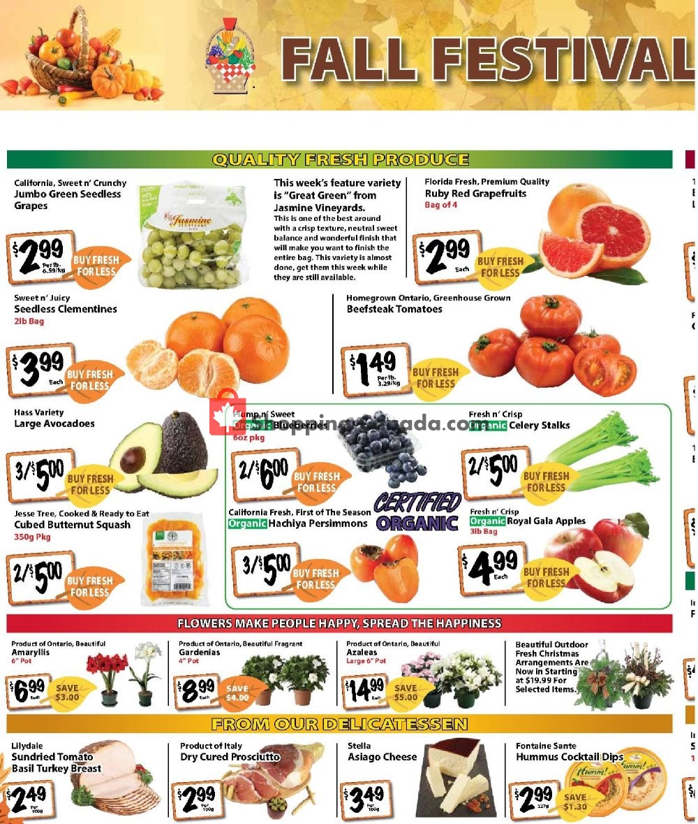 The Garden Basket flyer from Thursday November 7, 2019 to Wednesday November 13, 2019 - page 2