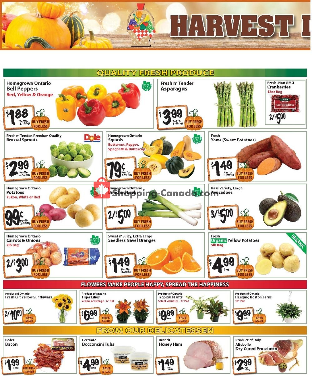 The Garden Basket flyer from Thursday October 3, 2019 to Wednesday October 16, 2019 - page 2