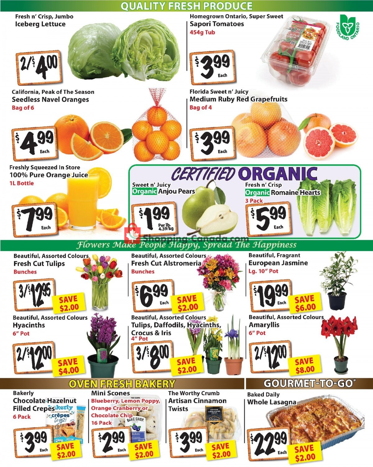 The Garden Basket flyer from Thursday January 26, 2023 to Wednesday February 1, 2023 - page 2