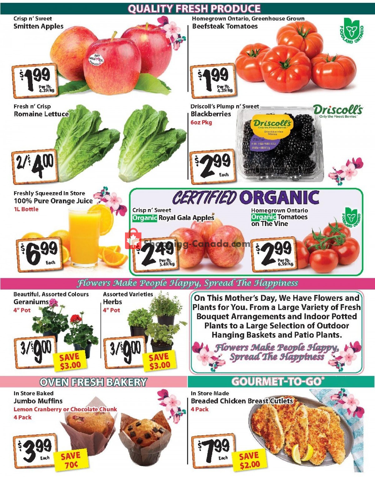 The Garden Basket flyer from Thursday May 6, 2021 to Wednesday May 12, 2021 - page 2