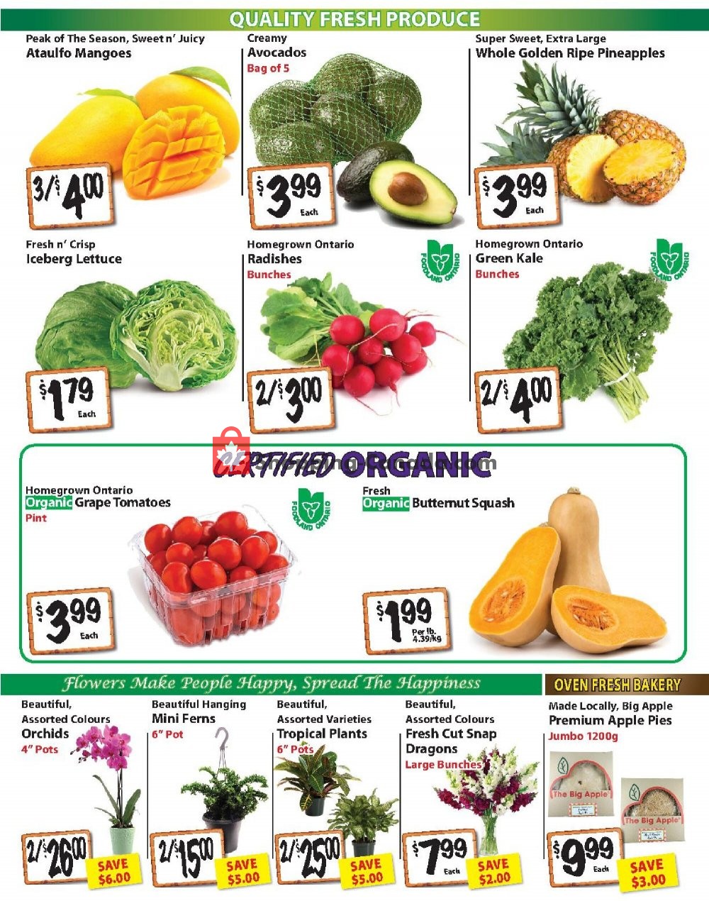 The Garden Basket flyer from Thursday July 9, 2020 to Wednesday July 15, 2020 - page 2