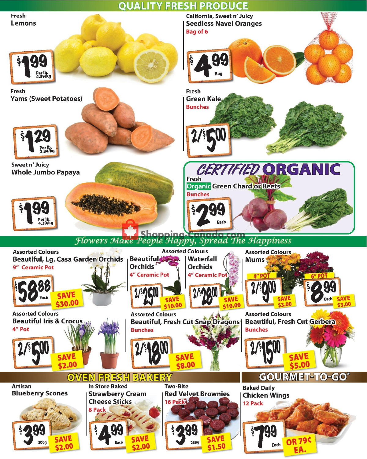 The Garden Basket flyer from Thursday January 11, 2024 to Wednesday January 17, 2024 - page 2