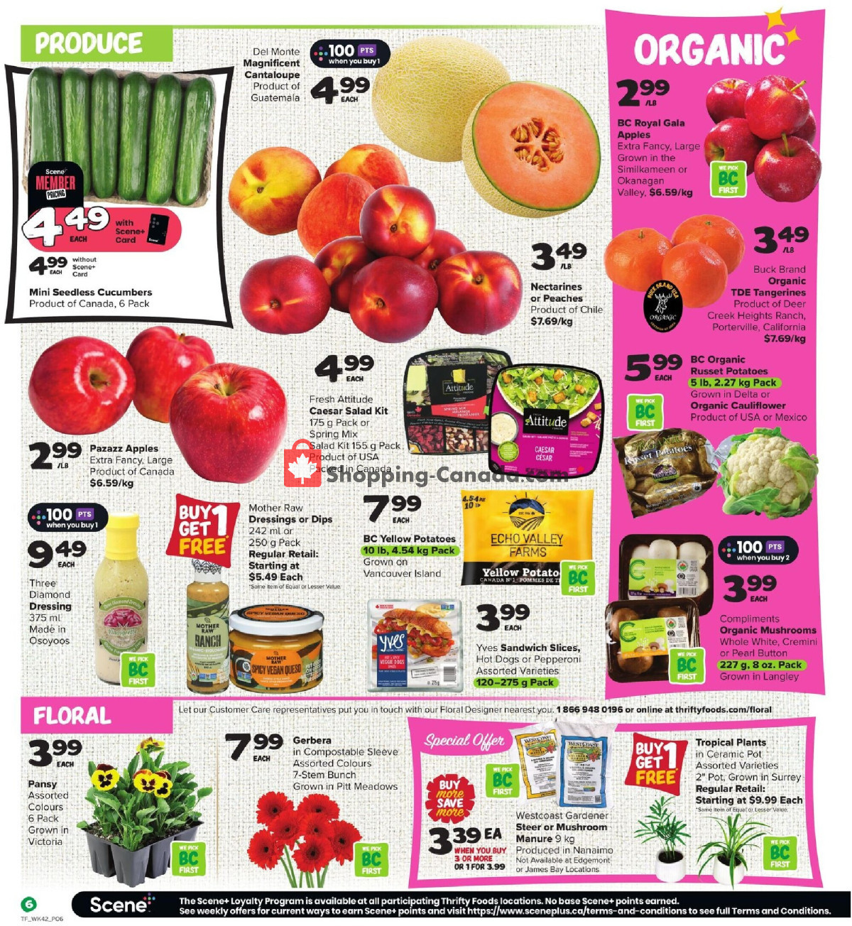 Thrifty Foods flyer from Thursday February 15, 2024 to Wednesday February 21, 2024 - page 7