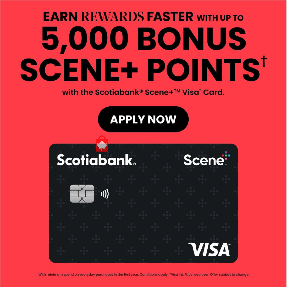 Thrifty Foods flyer from Thursday February 1, 2024 to Wednesday February 7, 2024 - page 15