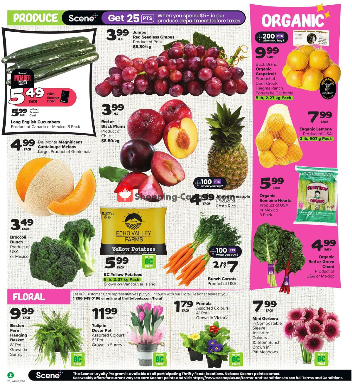 Thrifty Foods flyer from Thursday February 1, 2024 to Wednesday February 7, 2024 - page 3