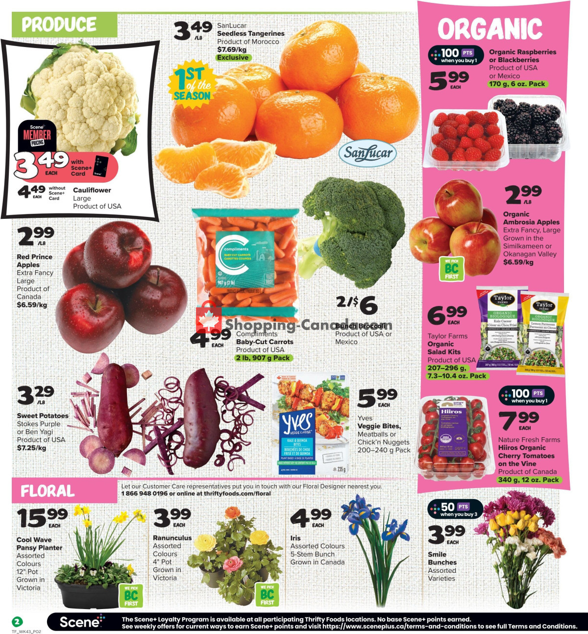 Thrifty Foods flyer from Thursday February 22, 2024 to Wednesday February 28, 2024 - page 3